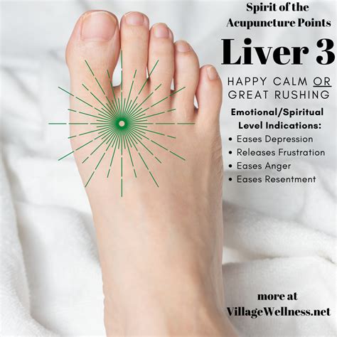 lv5 acupuncture point|shiatsu pressure points chart.